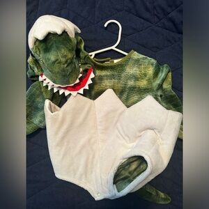 EUC 6-12 months Pottery Barn Kids T-Rex Dino Egg Costume